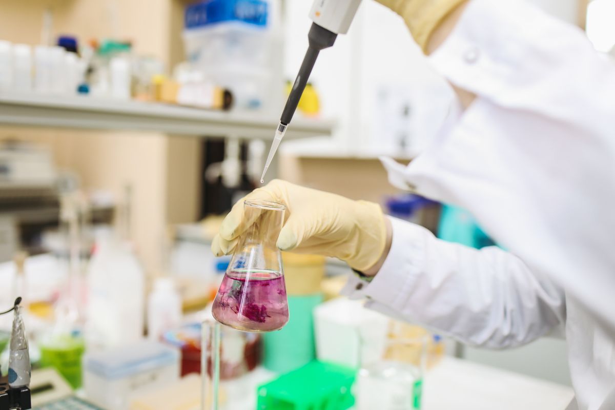 Why Regulatory Filings Need Real Translation